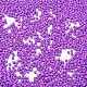 Выпечка краска стеклянные бусины SEED-S042-05B-72-3