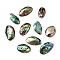 Natural Paua Shell Pendants, Oval Charms, Colorful, 21~25x12~16x4~6mm, Hole: 0.9~1mm