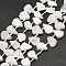 Natural Rainbow Moonstone Beads Strands, Teardrop, 12~20x5~15x3~7mm, Hole: 0.8mm, about 24pcs/strand, 15.04''(38.2cm)