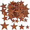 48Pcs 4 Styles Iron Pendants, Rusting, Star, Coconut Brown, 25.4~59x25.4~62x4~6mm, Hole: 1~2.5mm, 12pcs/style