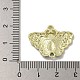 Подвески из сплава эмали PALLOY-F312-55G-01-3