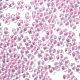 Светящиеся стеклянные бусины SEED-A033-07N-4