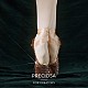 Preciosa® maxima crystal без горячей фиксации плоские камни Y-PRC-NSS6-90350-200-5