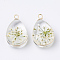Glass Pendants, with Dried Flower Inside & Brass Findings, teardrop, Golden, Beige, 22~24x13x8mm, Hole: 2mm
