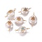 Natural Cultured Freshwater Pearl Pendants, for Jewish, with Cubic Zirconia and Brass Findings, Flat Round with Star of David, Golden, Mixed Color, 19~23x12~14mm, Hole: 1.6mm