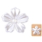 Resin Beads Caps, Flower Multi-Petal, White, 20x4mm, Hole: 1mm