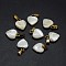 Shell Charms, with Brass Findings, Heart, Golden, 12~13x9~10x2~4mm, Hole: 2x5mm