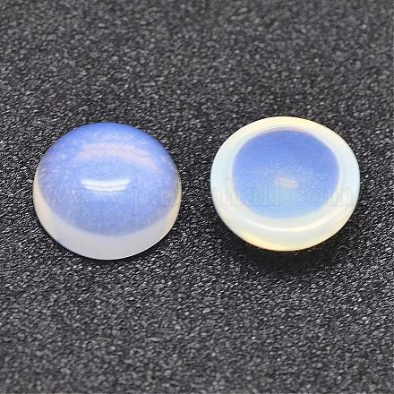 Opalite кабошоны G-P215-01-10mm-1