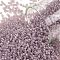 TOHO Round Seed Beads, Japanese Seed Beads, (166F) Transparent AB Frost Light Amethyst, 15/0, 1.5mm, Hole: 0.7mm, about 15000pcs/50g