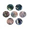 Natural Paua Shell Disc Charms, Teal, 15x1~3mm, Hole: 1.2~1.4mm