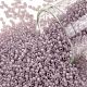 Круглые бусины toho SEED-XTR15-0166F-1