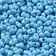 Выпечка краска стеклянные бусины SEED-K009-01A-06-3