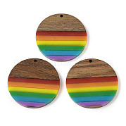 Подвески Pride на тему радуги из смолы и орехового дерева WOOD-K012-07B