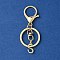 Alloy Initial Letter Charm Keychains, with Alloy Clasp, Golden, Letter S, 8.5cm