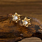 Stainless Steel Micro Pave Cubic Zirconia Stud Earrings, Snowflake, Real 18K Gold Plated, 12mm
