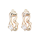 Подвески из латуни с прозрачным фианитом KK-N232-442LG-2