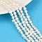 Natural Cultured Freshwater Pearl Beads Strands, Two Sides Polished, Grade 3A+, Seashell Color, 5~6mm, Hole: 0.7mm, about 63pcs/strand, 13.46~13.66''(34.2~34.7cm)
