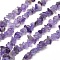 1 Strand Natural Amethyst Chip Bead Strands, 5~8x5~8mm, Hole: 1mm, about 31.5 inch