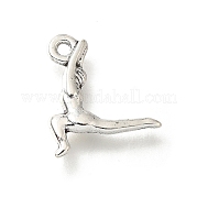 Сплавочные подвески тибетского стиля FIND-G078-03AS
