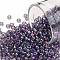 TOHO Round Seed Beads, Japanese Seed Beads, (166D) Transparent AB Sugar Plum, 8/0, 3mm, Hole: 1mm, about 1110pcs/50g