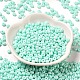 Выпечка краска стеклянные бусины SEED-B001-02A-14-2