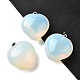 Opalite подвески G-C188-03A-1