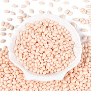 Выпечка краска стеклянные бусины SEED-T007-15C