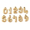 10Pcs 10 Styles 304 Stainless Steel Pendants, Number 0~9, Real 18K Gold Plated, 16.5~11x7~11x3~3.5mm, Hole: 1.4~1.5mm, 1pc/style