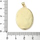 Латунные микро проложить кубического циркония подвески KK-Q068-33B-G-3