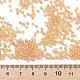 12/0 сорт круглый бисер стеклянный SEED-Q010-M531-3