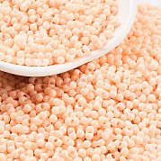 Выпечка краска стеклянные бусины SEED-A033-04J