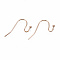 304 Stainless Steel Earring Hooks, Ear Wire, Cadmium Free & Nickel Free & Lead Free, Rose Gold, 11x21mm, 21 Gauge, Pin: 0.7mm