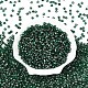 Краска для выпечки пикассо стеклянные бусины SEED-N007-37F-2