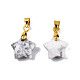 Природные подвески Howlite X-G-N326-142-10-2