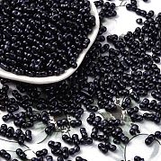 Выпечка краска стеклянные бусины SEED-L011-12A-06