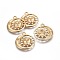 Alloy Pendants, Sun & Moon, Lead Free & Nickel Free & Cadmium Free, Matte Gold Color, 30x26.5x3mm, Hole: 2.5mm