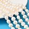 Natural Cultured Freshwater Pearl Beads Strands, Two Sides Polished, Grade 6A+, Old Lace, 11~12mm, Hole: 0.6mm, about 33~35pcs/strand, 14.09''~14.61''(35.8~37.1cm)