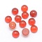 Natural Carnelian Cabochons, Half Round, 6x3~3.5mm