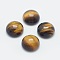 Natural Tiger Eye Cabochons, Convex, Half Round, 20x10mm
