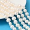 Natural Cultured Freshwater Pearl Beads Strands, Two Sides Polished, Grade 3A+, Old Lace, 10~11mm, Hole: 0.6mm, about 36~38pcs/strand, 13.70