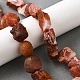 Природного сердолика нитей бисера G-S386-C06-1