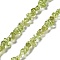 Natural Peridot Beads Strands, Grade A, Chip, 1~5x3~16x3~5mm, Hole: 0.8~0.9mm, 29.92~32.68''(76~83cm)