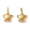 304 Stainless Steel Charms, Golden, Star, 9x6x3mm, Hole: 1.8mm