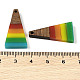Подвески Pride на тему радуги из смолы и орехового дерева WOOD-K012-10C-3