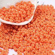 Выпечка краска стеклянные бусины SEED-H002-I-A512