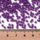 Выпечка краска стеклянные бусины SEED-S001-K11-3