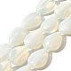 Opalite бисер пряди G-P561-B015-01-1