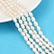 Natural Cultured Freshwater Pearl Beads Strands, Two Sides Polished, Grade 3A, Seashell Color, 5~6mm, Hole: 0.6mm, about 45~46pcs/strand, 13.23~13.50''(33.6~34.3cm)
