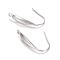 Tarnish Resistant 304 Stainless Steel Earring Hooks, Ear Wire, with Vertical Loop, Stainless Steel Color, 20x4mm, Hole: 1mm