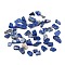Natural Lapis Lazuli Beads, No Hole/Undrilled, Chip, 8.5~23.5x7~8x2~7mm